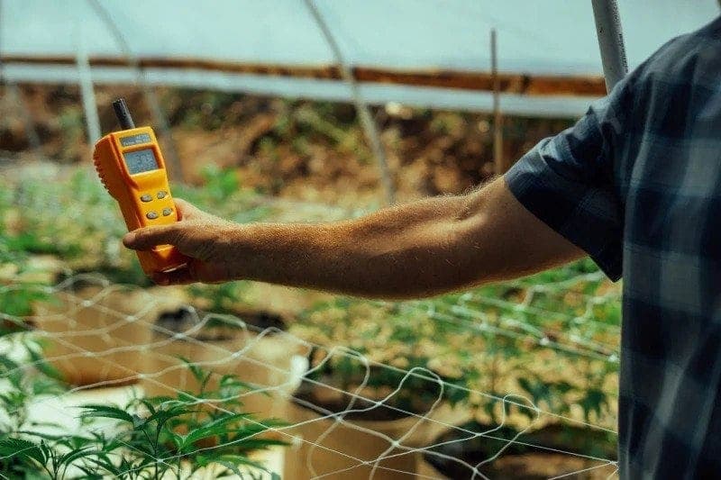 a man checking the temperature or humidity using a tester of indoor plants