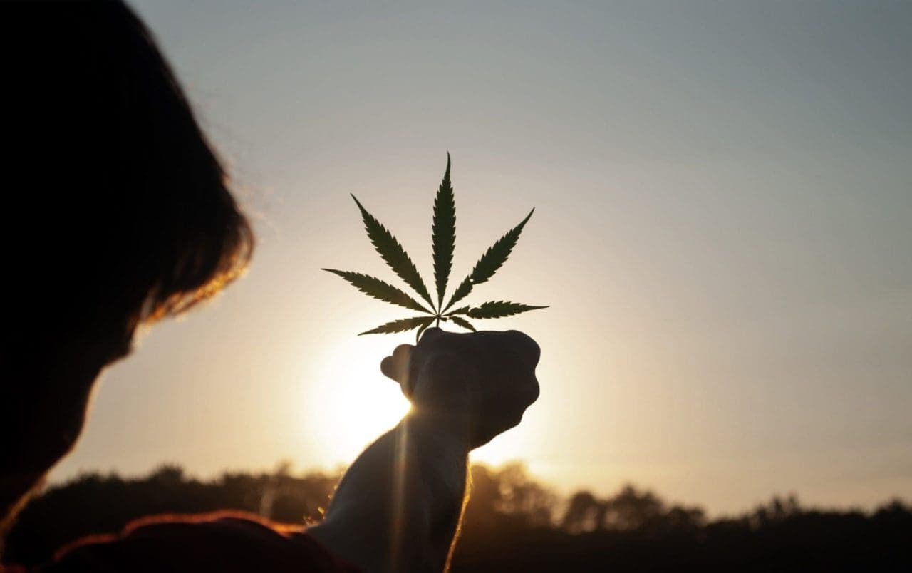 medical cannabis